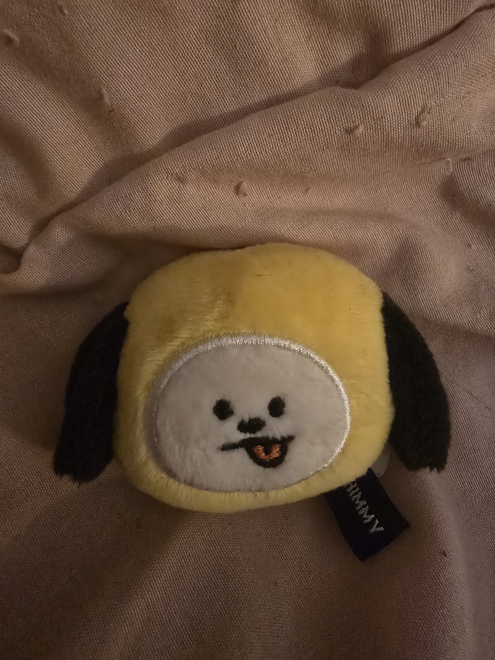 BT21 Chimmy Pludh Magnet